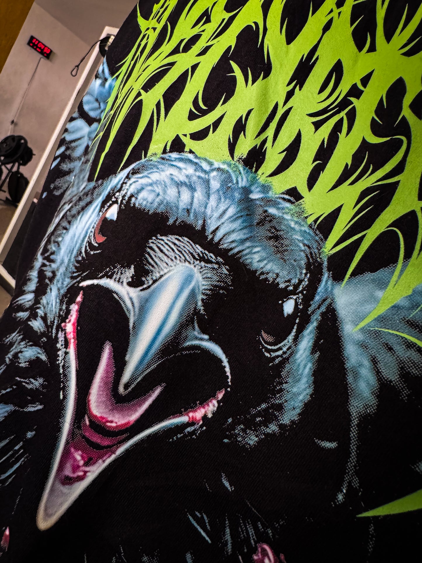 BLEED AND SOAR / RAVEN
